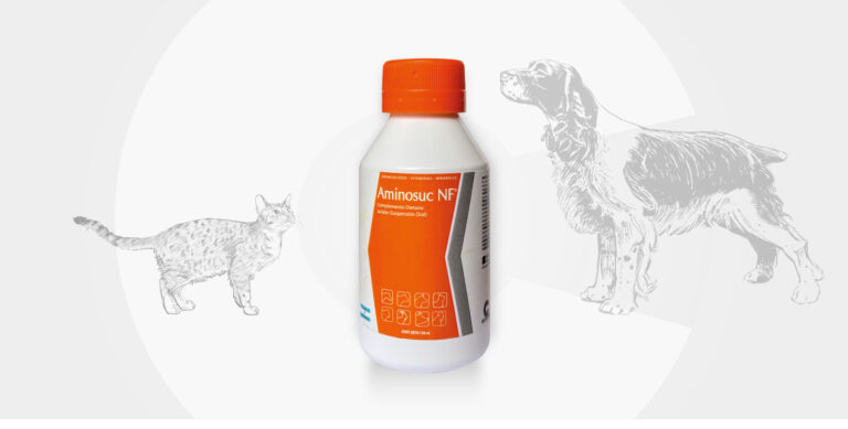 Aminosuc NF Pets: soporte nutricional para acompañar una dieta balanceada