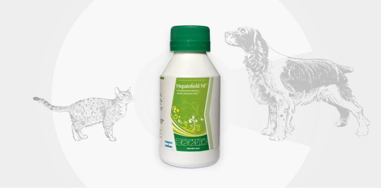 Hepatofield NF Pets: soporte herbario para la función hepática y digestiva
