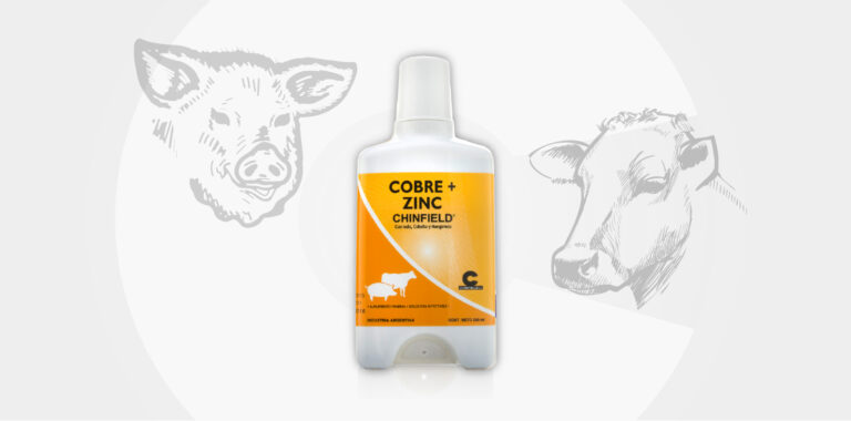 Cobre + Zinc: equilibrio mineral estratégico en bovinos y porcinos